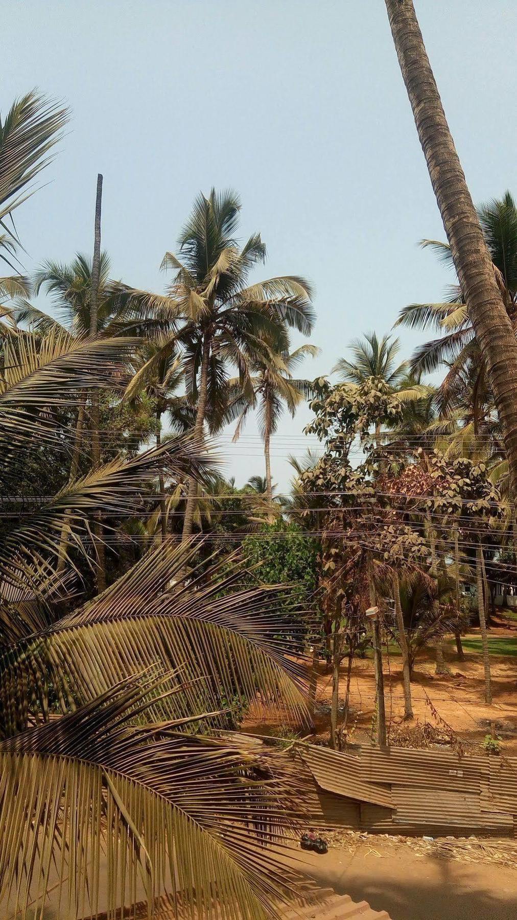 Hotel Shiva Ashvem Ashvem Beach Eksteriør bilde